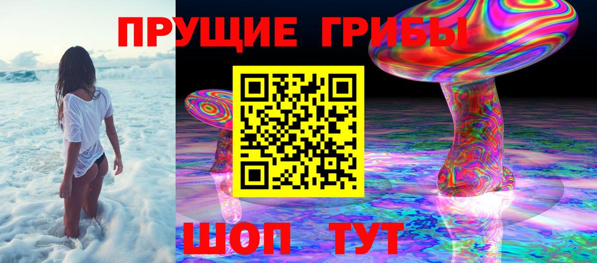 Сосновоборск  Галлюциногенные грибы Magic Shrooms  хочу наркоту  Вход с VPN 