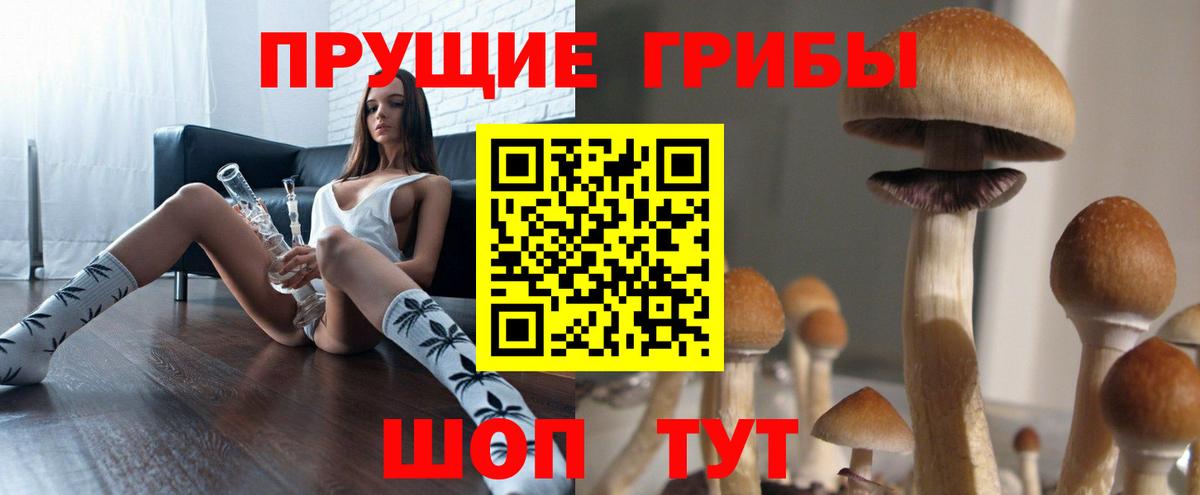 Псилоцибиновые грибы ЛСД Сосновоборск